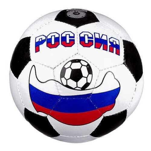 Shenzhen toys Мяч футбольный россия №5 Shenzhen toys Т15367 в Сплав