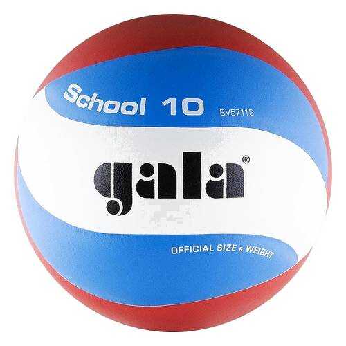 Волейбольный мяч Gala School 10 №5 blue/white/red в Сплав