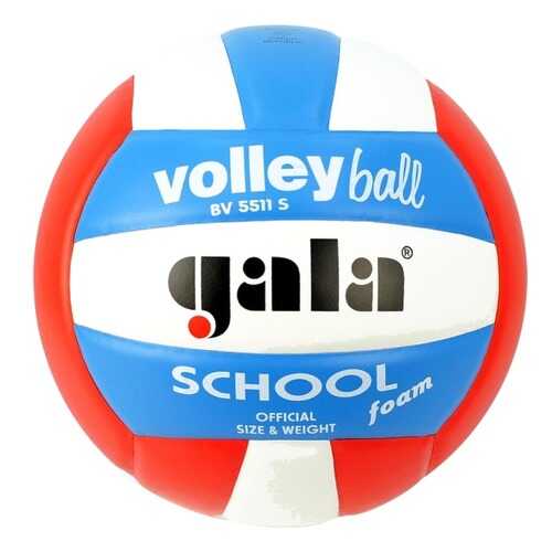 Волейбольный мяч Gala School Foam Colour №5 blue/white/red в Сплав