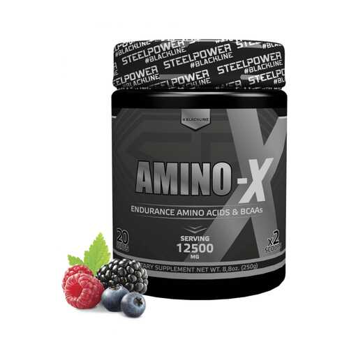 Аминокислотный комплекс AMINO-X, вкус «Лесные ягоды», 250 гр, STEELPOWER в Сплав