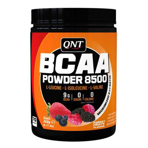 QNT BCAA 8500 350 г лесные ягоды в Сплав