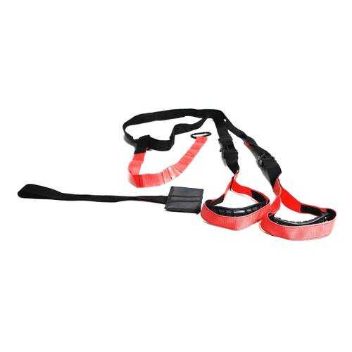 Петли тренировочные Lite Weights Сделай тело в Сплав