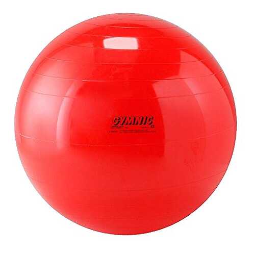 Мяч 85см Body boll с BRQ 90.85 Orto в Сплав