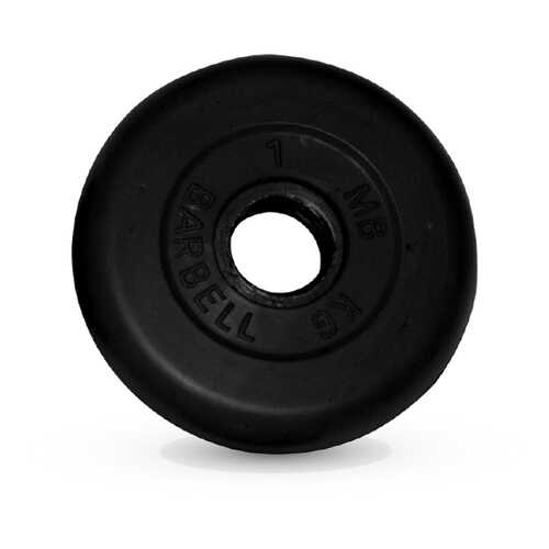Barbell d 31 мм черный 1,0 кг в Сплав