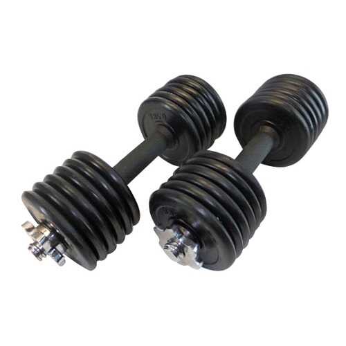 Пара гантелей MB Barbell 2 шт. по 8 кг в Сплав