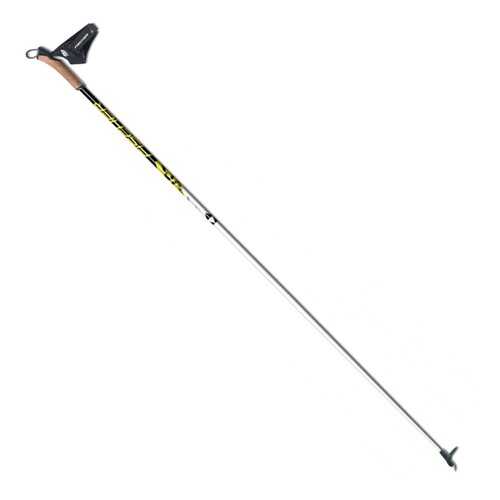 Лыжные палки Fischer RC3 2020, 170 см в Сплав